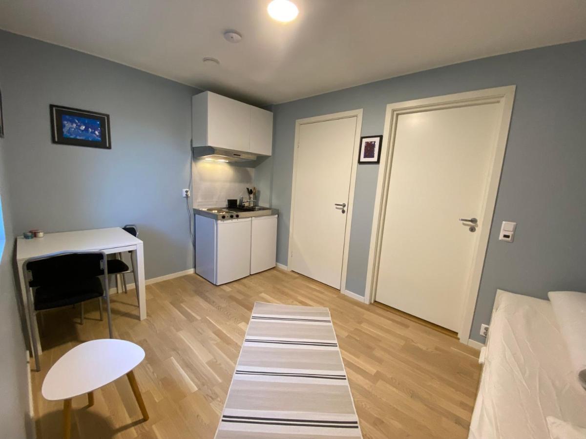 Your Dream In Apartamento Bergen